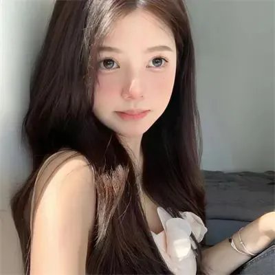 大汗征西
