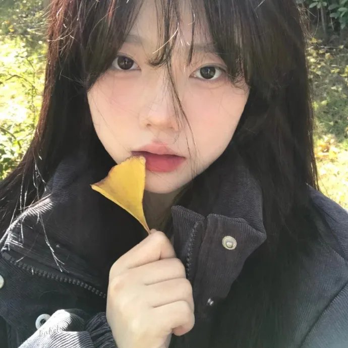 挑头人